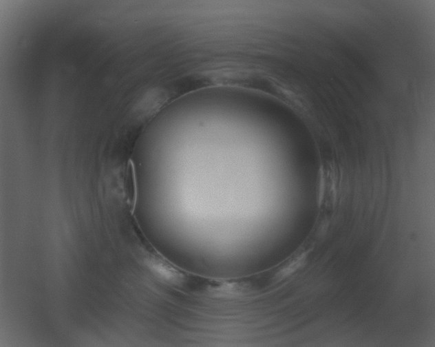 X0000053060430200507111157