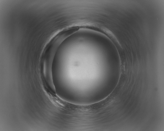 X0000053060436200507111156