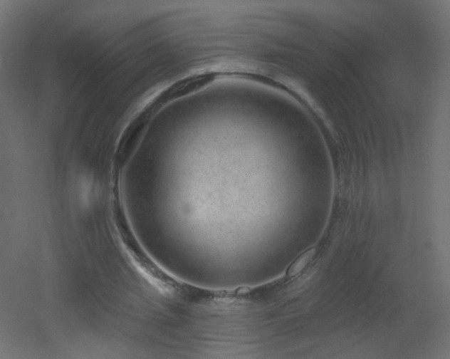 X0000053060437200507111156