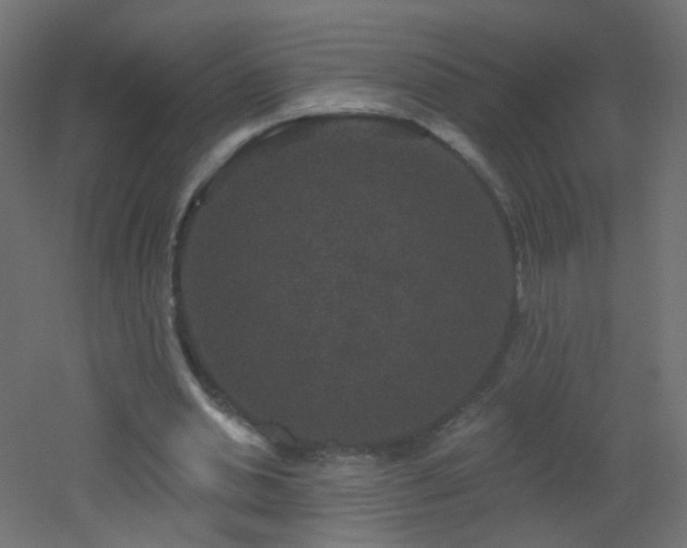 X0000053060438200507111156