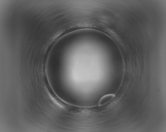 X0000053060441200507111156