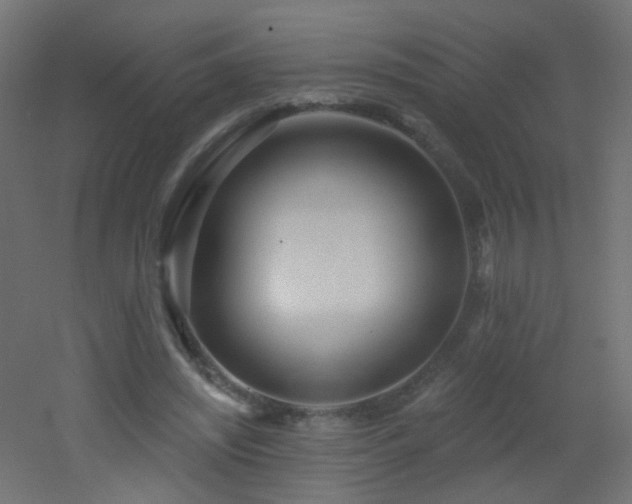 X0000053060444200507111156