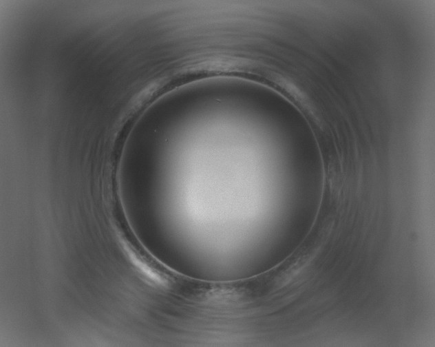 X0000053060445200507111156