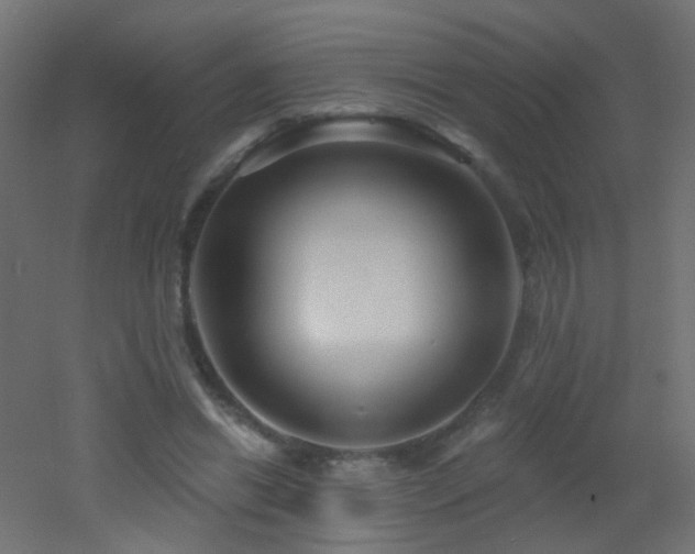 X0000053060446200507111156