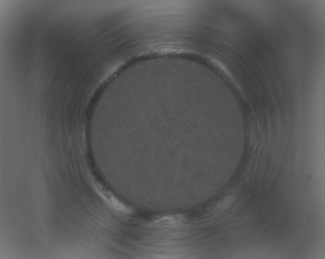 X0000053060447200507111156