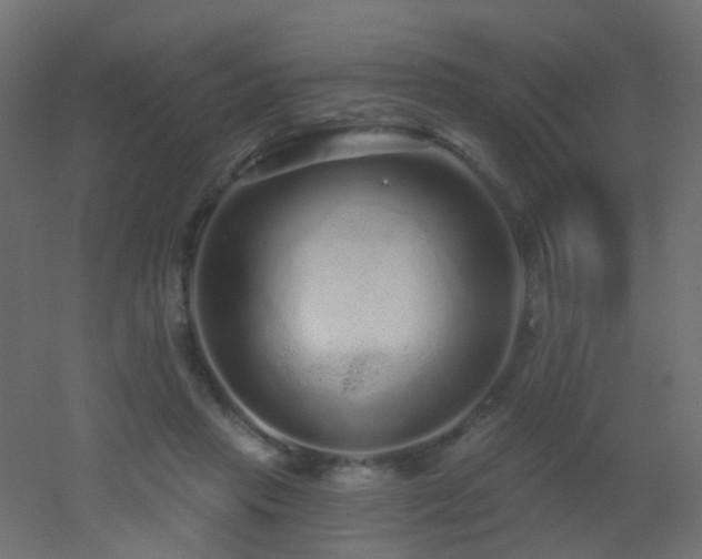 X0000053060453200507111156