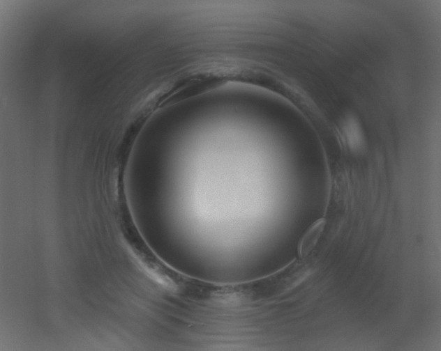 X0000053060454200507111156