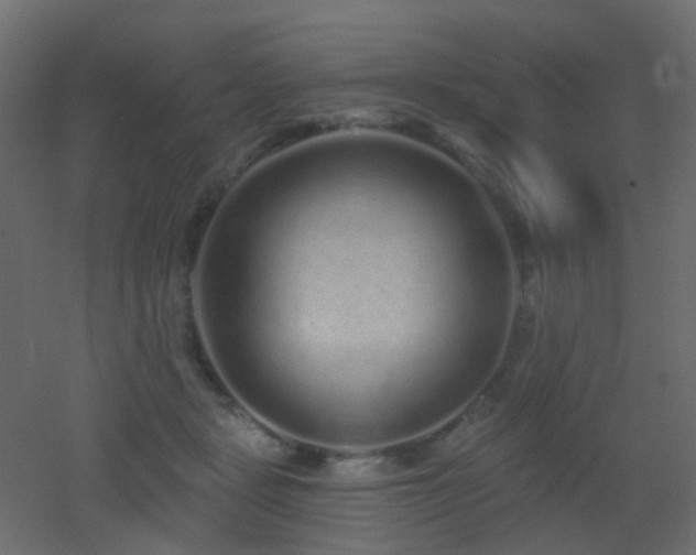 X0000053060461200507111156