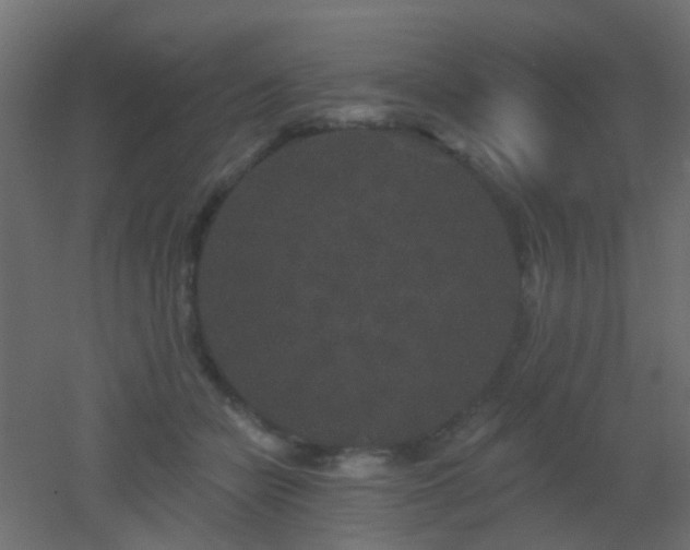 X0000053060462200507111156