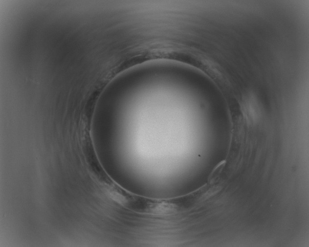 X0000053060463200507111156