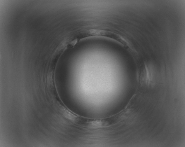 X0000053060473200507111157