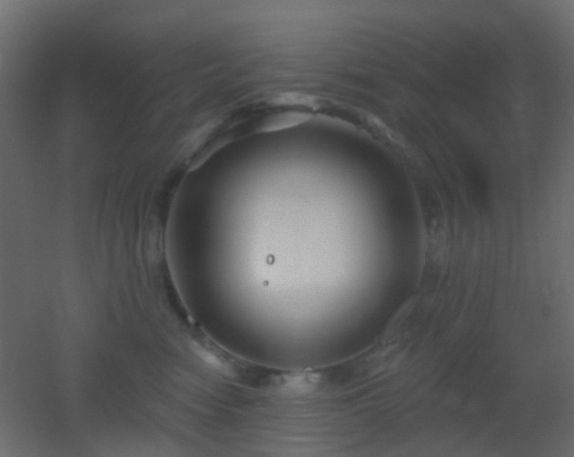 X0000053060474200507111157
