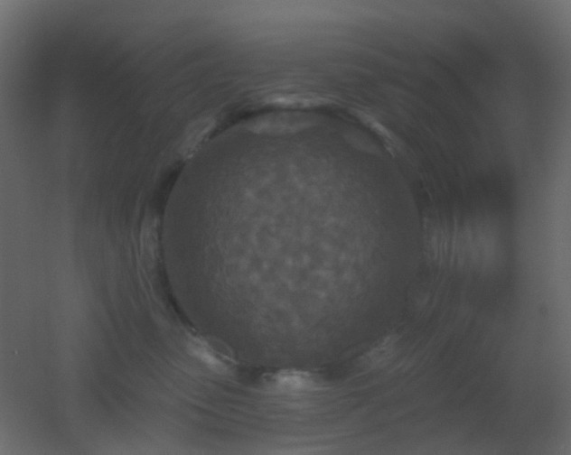 X0000053060475200507111157