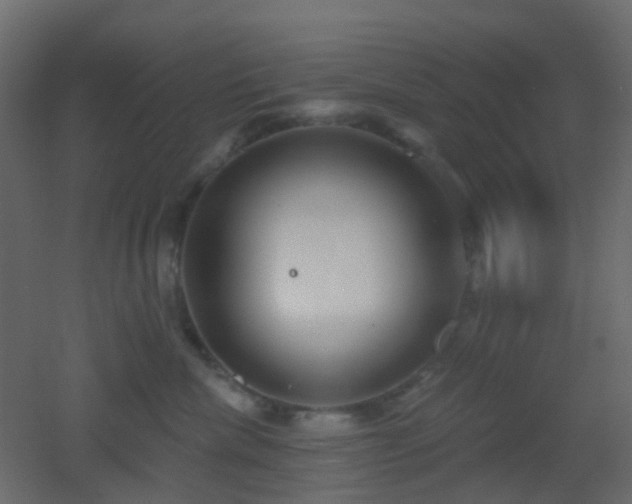 X0000053060476200507111157