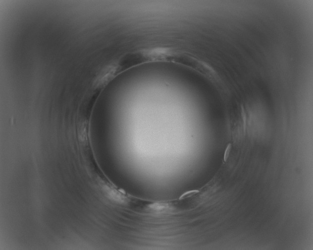 X0000053060477200507111157