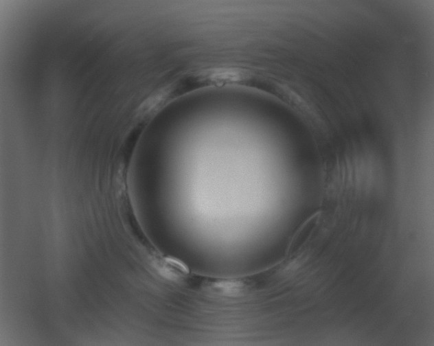 X0000053060478200507111157