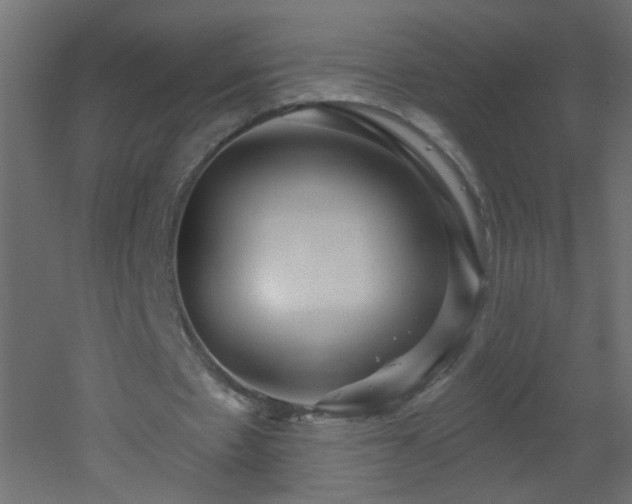 X0000053060481200507111156