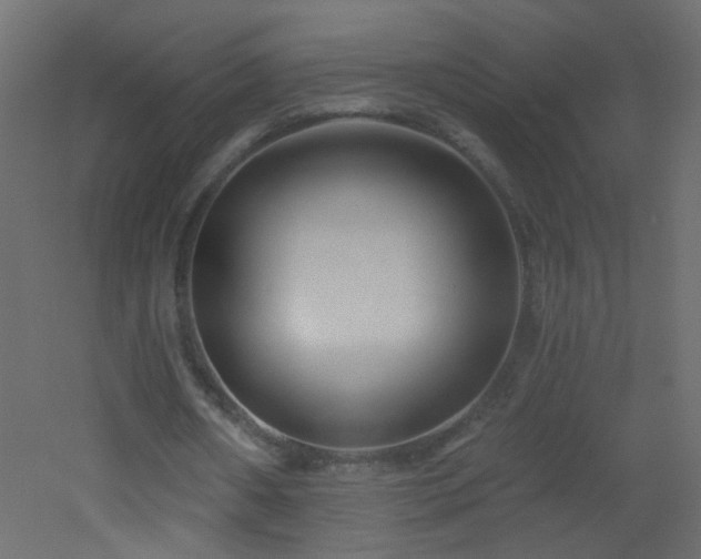 X0000053060482200507111156