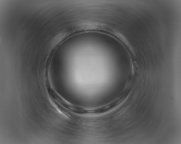 X0000053060485200507111156