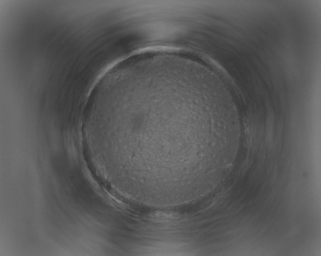 X0000053060487200507111156