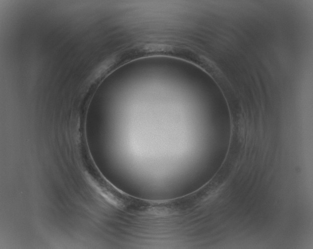 X0000053060490200507111156
