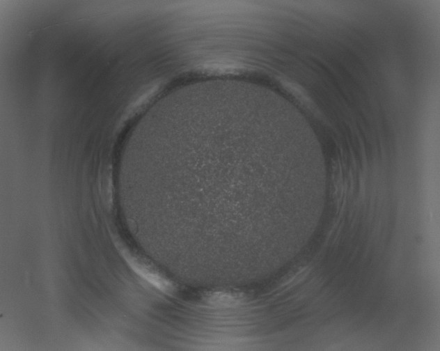 X0000053060494200507111156