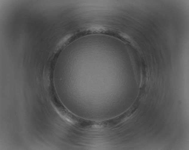 X0000053060496200507111156