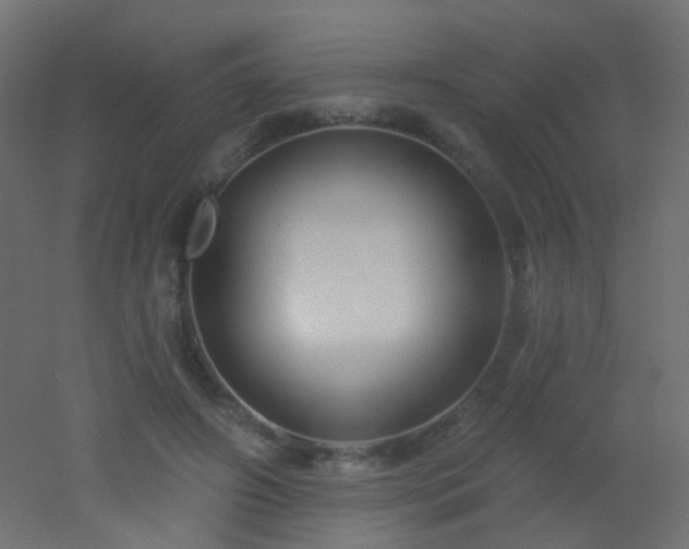 X0000053060498200507111156