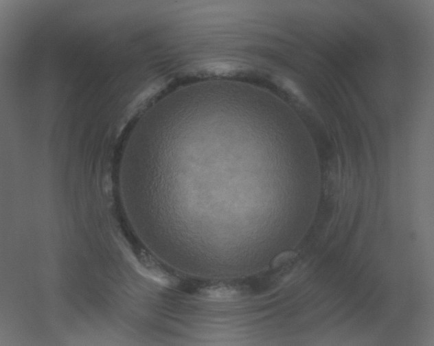 X0000053060500200507111156