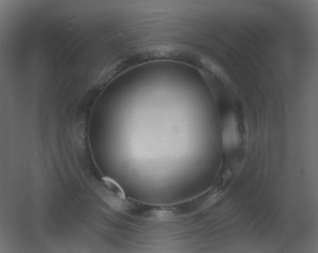 X0000053060509200507111155