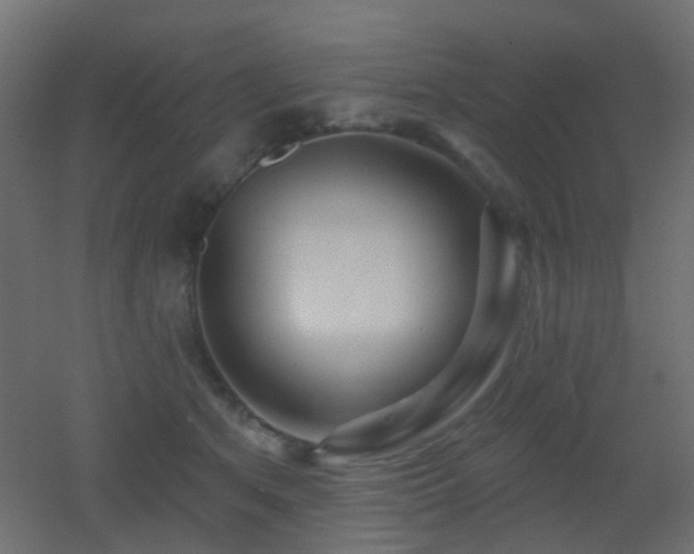 X0000053060513200507111155