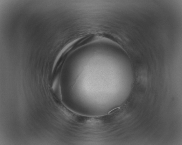 X0000053060515200507111155