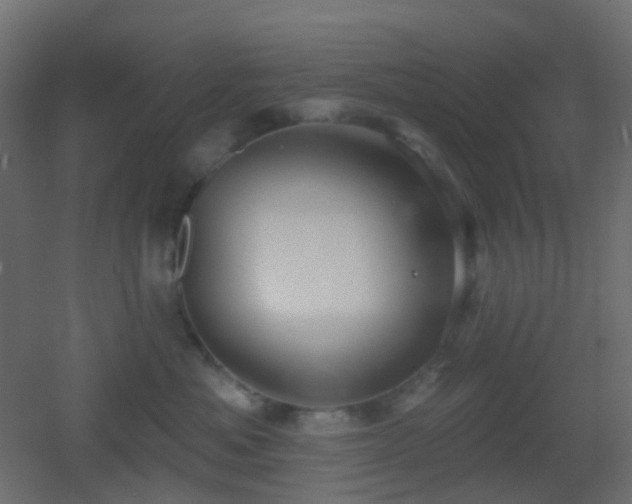 X0000053060525200507111155