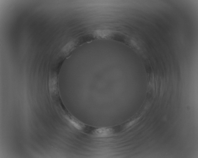 X0000053060526200507111155