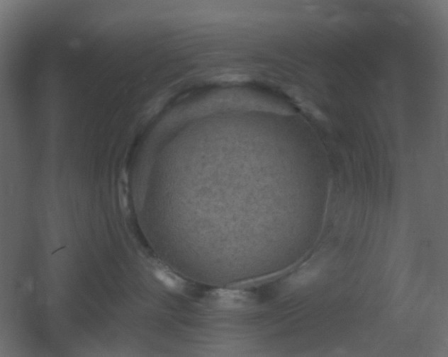 X0000053060528200507111155