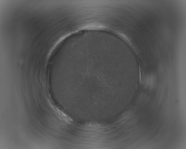 X0000053060531200507111154
