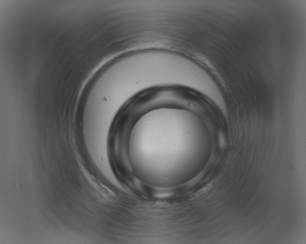 X0000053060532200507111154
