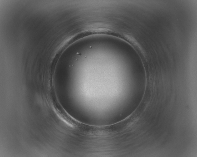 X0000053060533200507111154