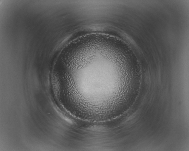 X0000053060537200507111154