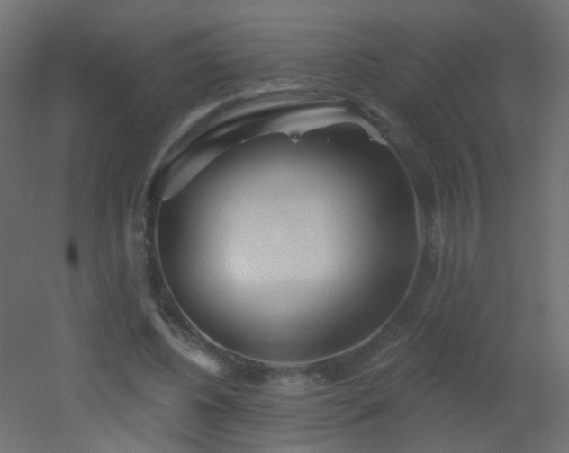 X0000053060540200507111155