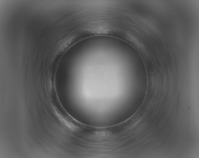 X0000053060541200507111155
