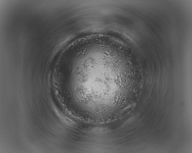 X0000053060542200507111155