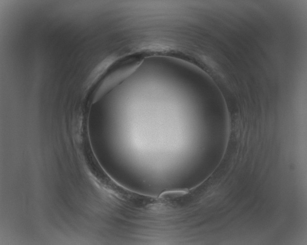X0000053060544200507111155