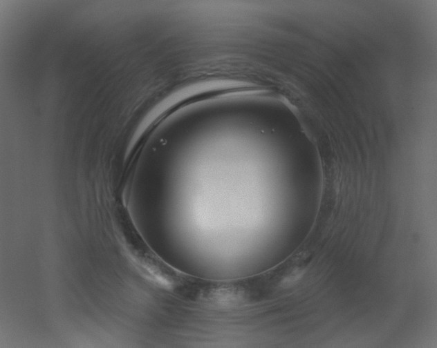 X0000053060546200507111155
