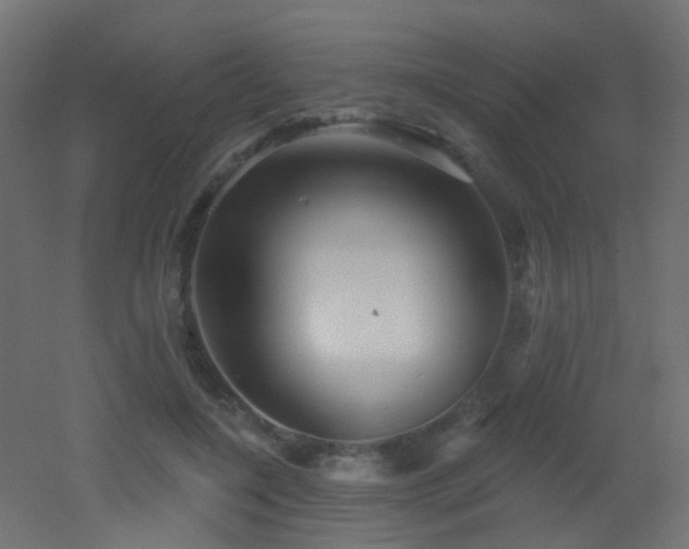 X0000053060548200507111155
