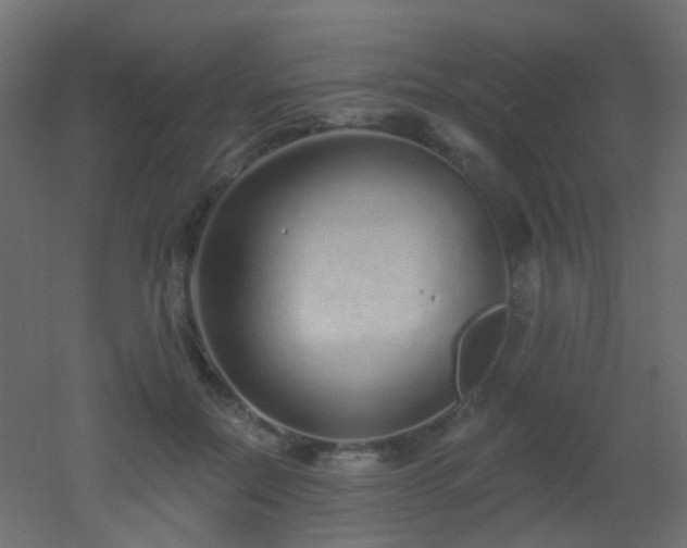 X0000053060554200507111155