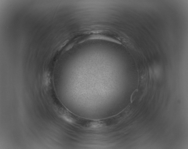 X0000053060555200507111155