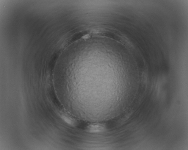 X0000053060557200507111155