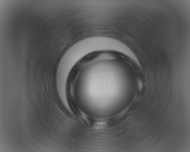 X0000053060560200507111155
