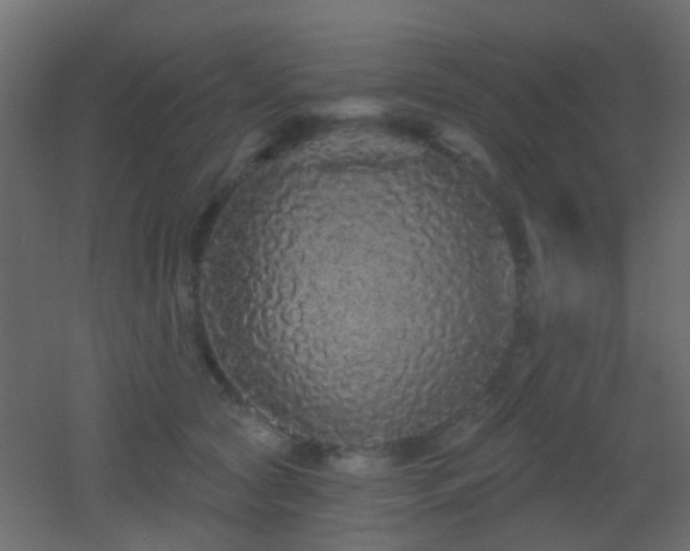 X0000053060561200507111155